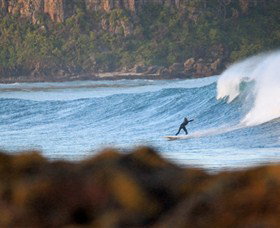 Killalea Beach - Sunshine Coast Tourism 3