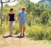 Hoddles Track - Sunshine Coast Tourism