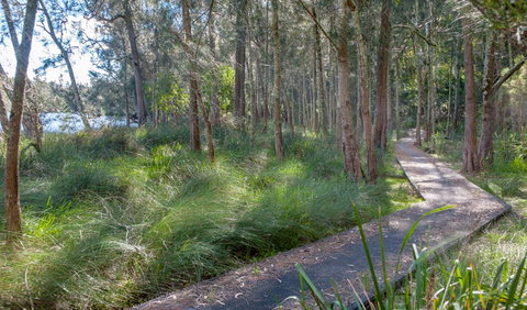 Anabranch Loop Track - Sunshine Coast Tourism 3
