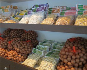 Medowie Macadamias - Holiday Sunshine Coast 2