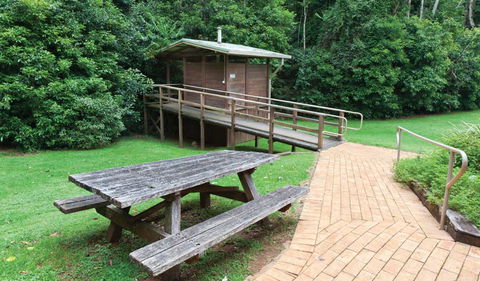 The Glade Picnic Area - Sunshine Coast Tourism 0