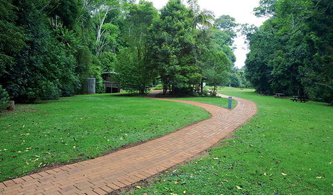 The Glade Picnic Area - Sunshine Coast Tourism 1