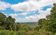 Antarctic Beech Picnic Area - thumb 2