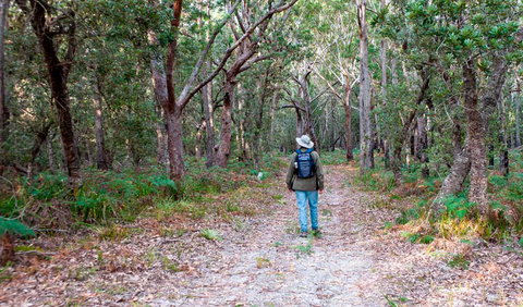 Narrawallee Inlet Walking Track - Holiday Sunshine Coast 1