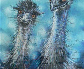 Platypus Gallery - Holiday Sunshine Coast 6