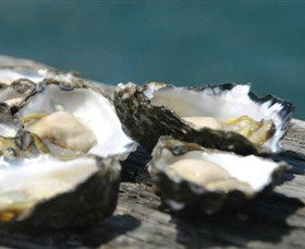 Jim Wilds Oyster Service - Sunshine Coast Tourism 0