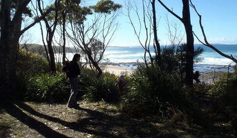 Monument Beach Picnic Area - Sunshine Coast Tourism 2
