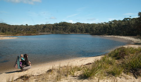 Nerindillah Lagoon Walking Track - Holiday Sunshine Coast 0