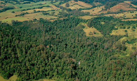 Boorganna Nature Reserve - Sunshine Coast Tourism 0
