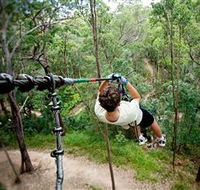TreeTop Challenge - Sunshine Coast Tourism