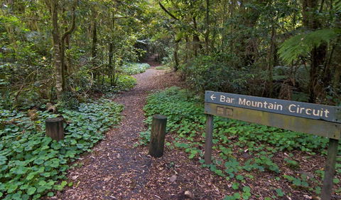 Bar Mountain Circuit - Holiday Sunshine Coast 0