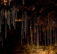 Tamborine Mountain Glow Worm Caves - Sunshine Coast Tourism