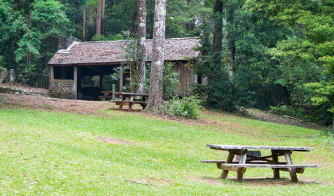 Never Never Picnic Area - Sunshine Coast Tourism 2