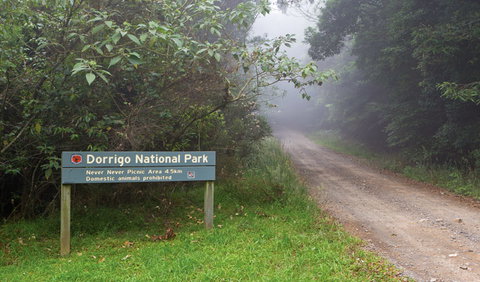 Never Never Picnic Area - Sunshine Coast Tourism 3