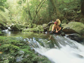 Lower Ballanjui Falls - Holiday Sunshine Coast 0