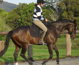 Kings Creek Saddle Club - Sunshine Coast Tourism 6