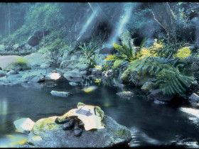 Coomera Circuit - Holiday Sunshine Coast 0