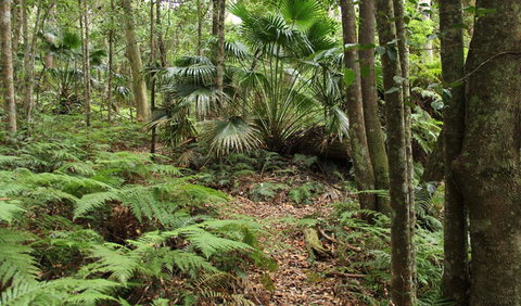 Durras Lake Discovery Trail - Holiday Sunshine Coast 0