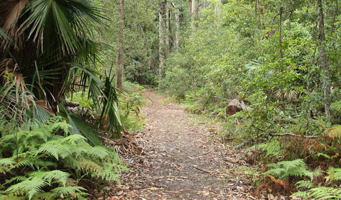 Durras Lake Discovery Trail - Holiday Sunshine Coast 1