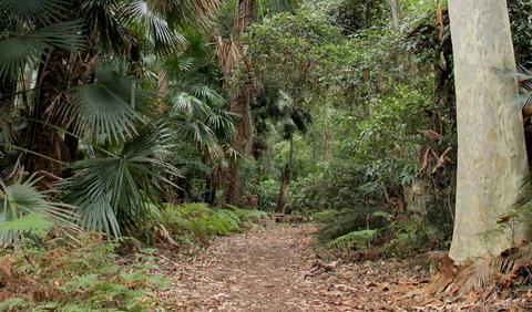 Durras Lake Discovery Trail - Holiday Sunshine Coast 2