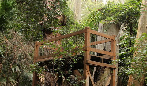 Durras Lake Discovery Trail - Holiday Sunshine Coast 3