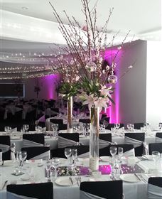 Cookabarra Restaurant And Function Centre - Tailor Made Fish Farms - Sunshine Coast Tourism 5