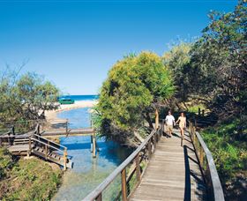 Eli Creek - Sunshine Coast Tourism 0