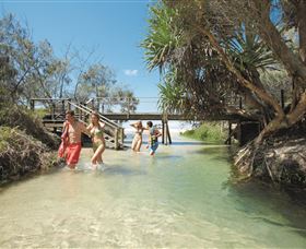 Eli Creek - Sunshine Coast Tourism 1