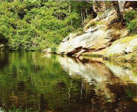 Numinbah Valley Adventure Trails - Sunshine Coast Tourism 1