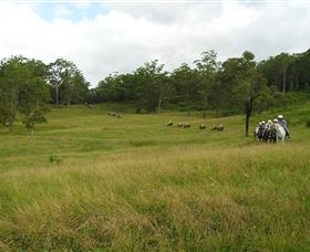 Numinbah Valley Adventure Trails - Sunshine Coast Tourism 0