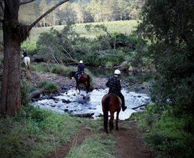 Numinbah Valley Adventure Trails - Sunshine Coast Tourism 3