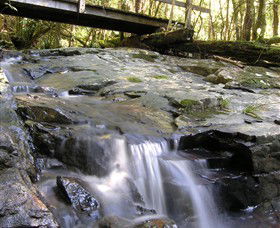Wootton Historical Railway Walk - Sunshine Coast Tourism 1