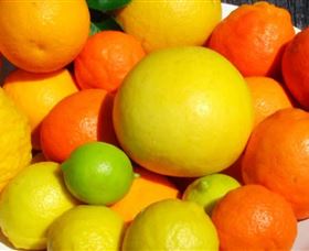 Fruit Salad Tree Company - Holiday Sunshine Coast 2