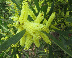Booderee National Park: Munyunga Waraga Dhugan Walking Trail - Holiday Sunshine Coast 1
