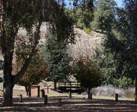 Oak Grove Walk, Balingup - Holiday Sunshine Coast 2