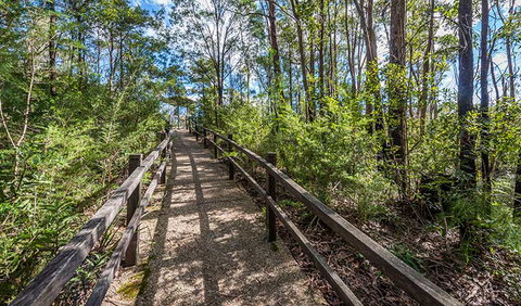 Flat Rock Lookout - Sunshine Coast Tourism 2