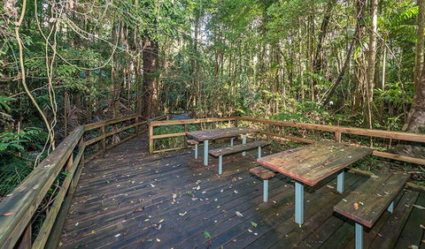 Starrs Creek Picnic Area - Holiday Sunshine Coast 1