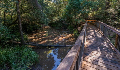 Ms Kellys Walking Track - Sunshine Coast Tourism 0