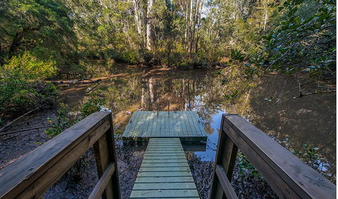 Brimbin Picnic Area - Sunshine Coast Tourism 1