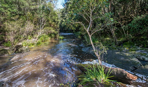 Brimbin Picnic Area - Sunshine Coast Tourism 2