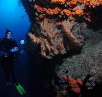 Gotham City Dive Site - Sunshine Coast Tourism