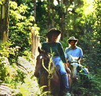 Clarendon Forest Retreat Horse Riding - Holiday Sunshine Coast