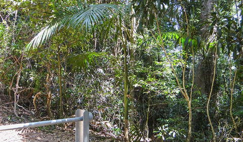 Goorgana Walking Track - Sunshine Coast Tourism 0