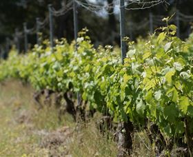 Barton Jones Wines - Holiday Sunshine Coast 2