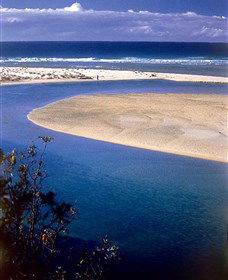 One Tree Point Lookout And Picnic Area - Sunshine Coast Tourism 1