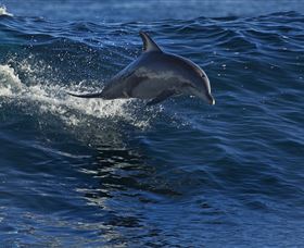 Town Centre - Sunshine Coast Tourism 1