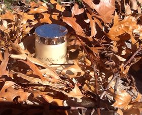 Three Wise Mums - Holiday Sunshine Coast 1