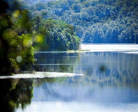 Rocky Creek Dam - Sunshine Coast Tourism 1