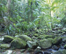 Rocky Creek Dam - Sunshine Coast Tourism 5