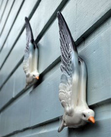 Kingstudio Gallery - Holiday Sunshine Coast 5